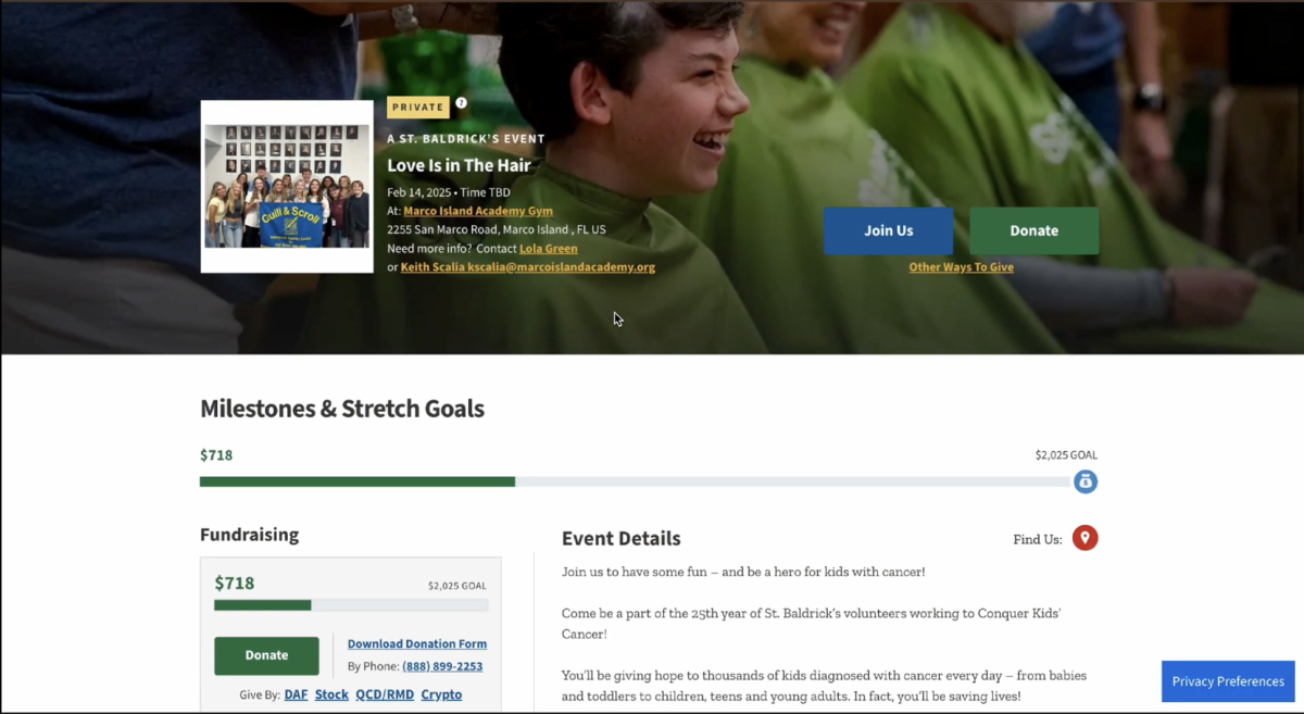 A screengrab taken from the St. Baldrick's website.